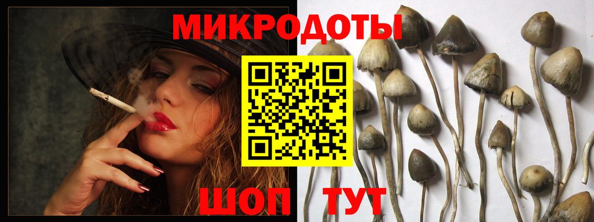 Псилоцибиновые грибы мицелий  Вход с VPN  Нурлат 